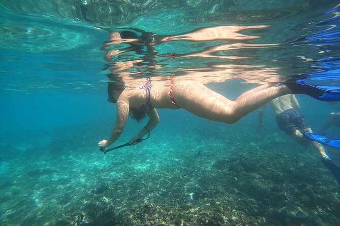 Snorkelling Tours to Daymaniyat Island - Good To Know