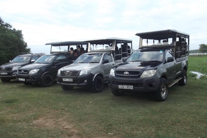 Special Leopards Safari Yala National Park - 04.30 Am to 11.30 Am - Good To Know