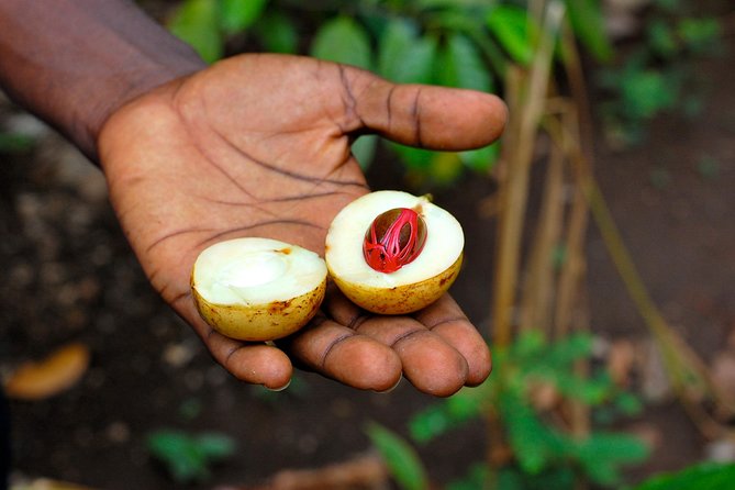 SpiceTour in Zanzibar - Good To Know