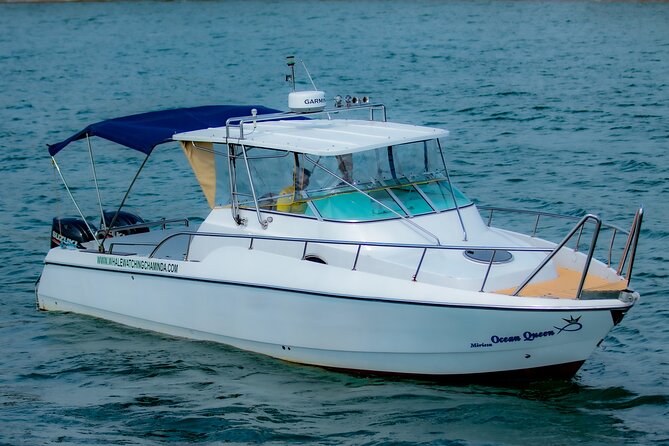 Sports Boat- Private Whale Watching Trip( Free Breakfast & Paid Pick-Up) - Good To Know