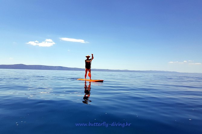 4 Best 2 Hour Tours and Experiences in Dalmatia
