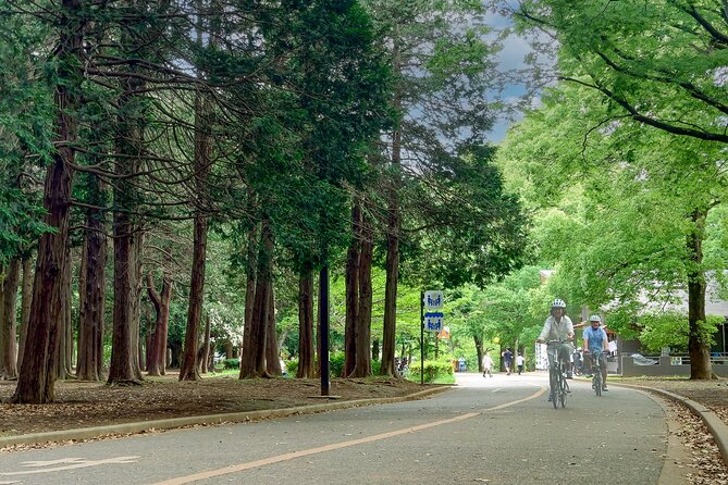 Starting / Ending at Your Hotel 3hr Private E-bike Tour in Tokyo - Good To Know