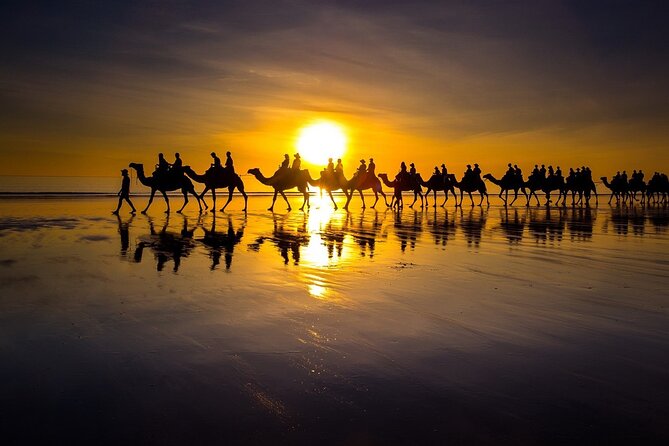 Sunset Camel Ride on Achakkar Beach Including Traditional Dinner - Good To Know