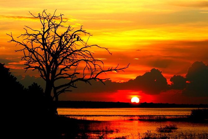 Sunset Cruise on Chobe River With Hotel Pickup From Kasane - Good To Know