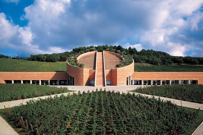 Suvereto Wine Experience PRIVATE TOUR From SIENA - Good To Know
