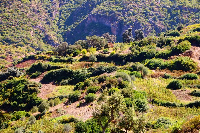 Tangier to Marrakech: Private 8-Days Tour Imperial Cities, Mountains & Desert - Tour Overview