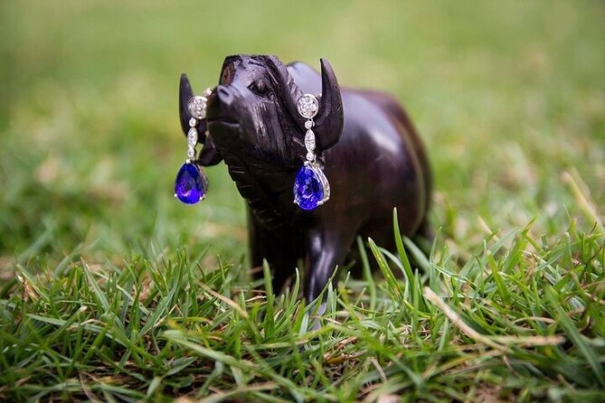 Tanzanite Mining Day Trip - Pickup Information