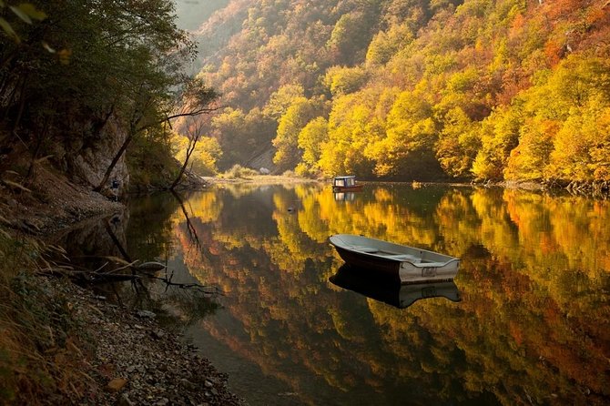Tara Park, Wood City, Studenica Monastery, Uvac Canyon, Novi Sad, 5 Day Tour - Good To Know