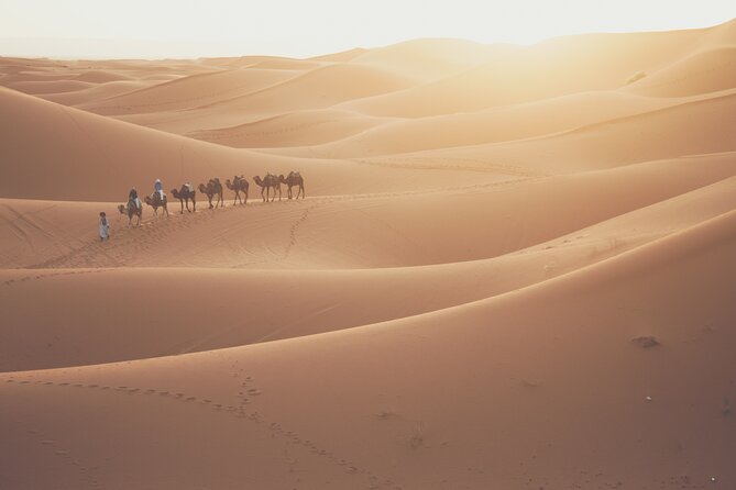 The Ancient Caravan Routes ∴ Highlights of Morocco 10 Day Journey From Marrakech - Good To Know