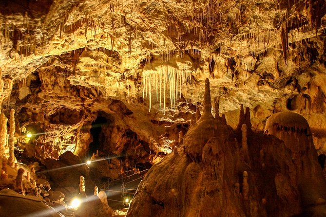 The Bears Cave – One-Day Air Conditioned Car Tour From Oradea
