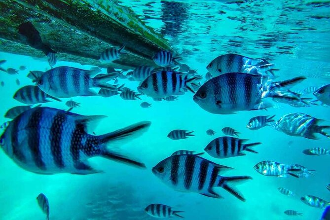 The Beautiful East of Mauritius:Incl Blue-Bay Marine Park, Crocodile Park &Lunch
