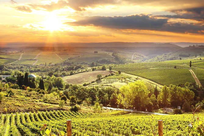 The Best of Chianti Classico Wine Private Tour With Dinner in a Boutique Estate - Good To Know