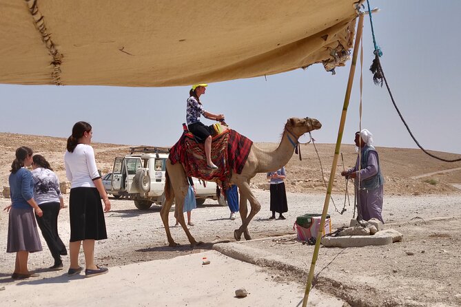 The Judean Desert: Adverture in Genesis Landscape and Refreshing Oassis - Good To Know