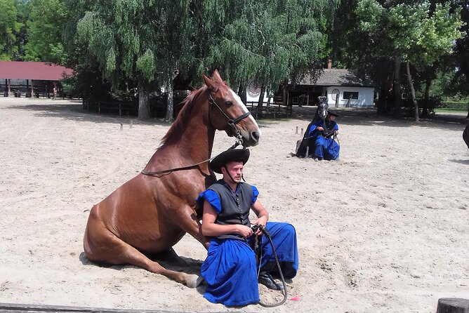 The Puszta Horse Show - Good To Know