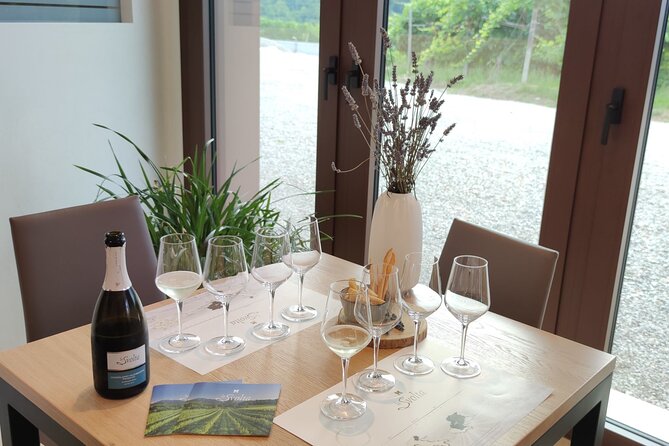 Tour and Tasting in the Hills of Prosecco Superiore DOCG