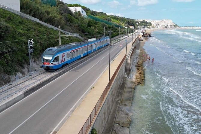 Tour of Gargano With the Train From Foggia to Rodi Garganico - Tour Itinerary Overview