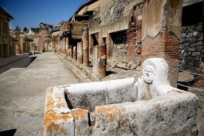 Tour of Pompeii and Herculaneum From Naples or Sorrento - Good To Know