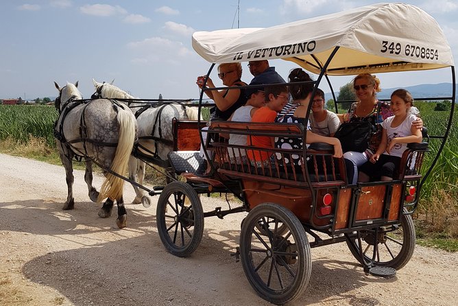Tour the Wine Route - Good To Know