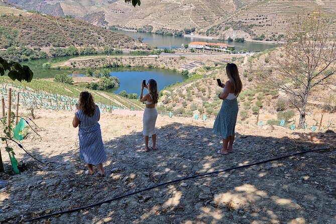 Tour to the Douro Valley From Porto 2 Wineries, Lunch and Boat - Good To Know