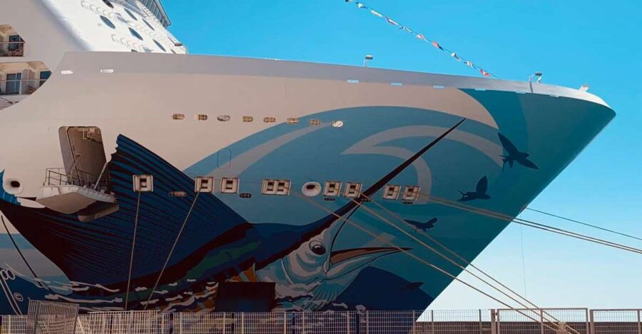 Transfer Civitavecchia Port to Rome - Driver and Vehicle Details