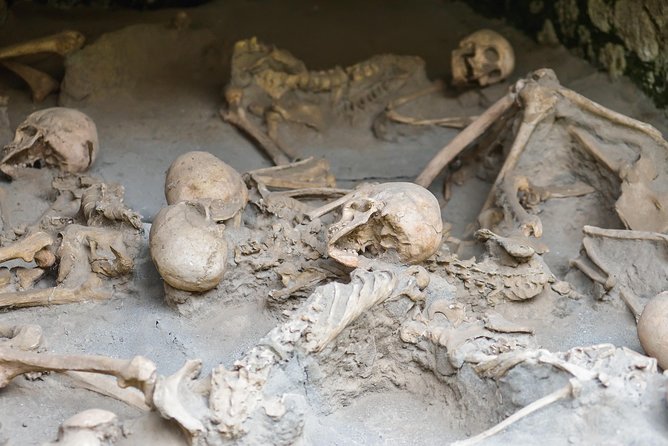 Transfer From Naples to Sorrento With 2 Hours Private Tour in Herculaneum - Private Transfer Overview