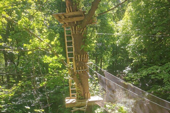 Treetop Adventure Course in the Heart of Poissy - Good To Know