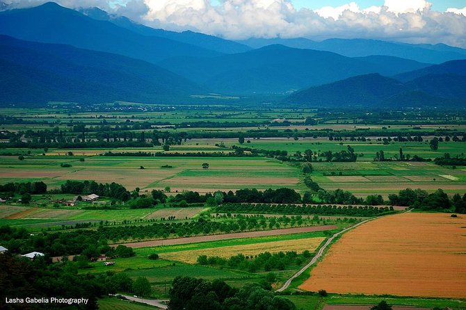 Two Days in Gorgeous Wine Region With Full Board Meals and Tastings From Tbilisi
