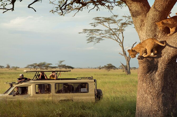 Two Days Trip to Selous/Nyerere National Park Fly From Zanzibar - Good To Know