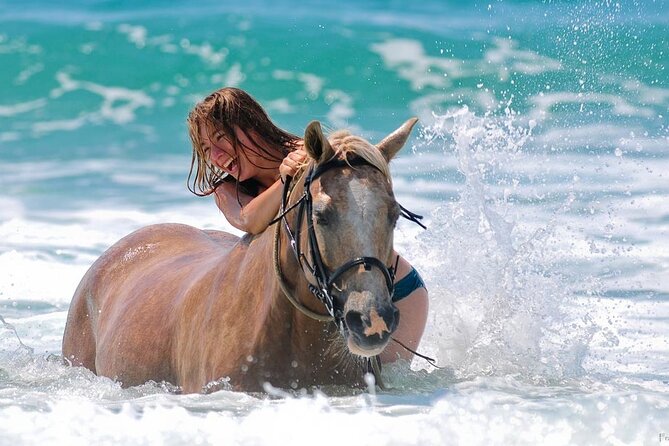 Two-Hour Horse Riding Adventure in Marsa Alam With Transfer - Good To Know