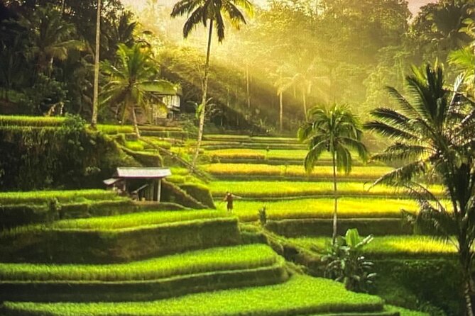 Ubud Highlight Rice Terrace,Waterfall,Temple and Art Village - Good To Know