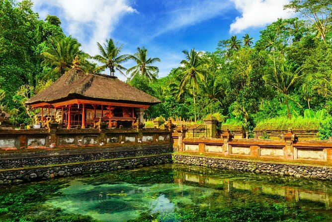 Ubud Private Full Day Tour With Swing and Lunch - Tour Overview