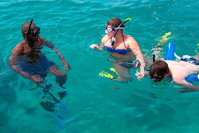 Unforgettable Ocean Safari Experience - Good To Know