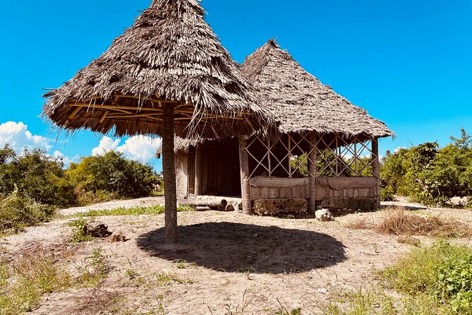 Unique Culture and Nature Tour in Authentic Zanzibar Village - Transportation Options