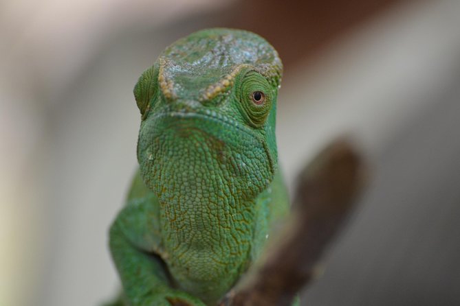 Unique Madagascar - Good To Know