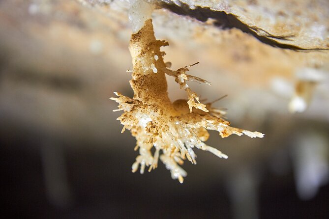 Unique Underground Experience in Soprador Do Carvalho Cave - Equipment Provided
