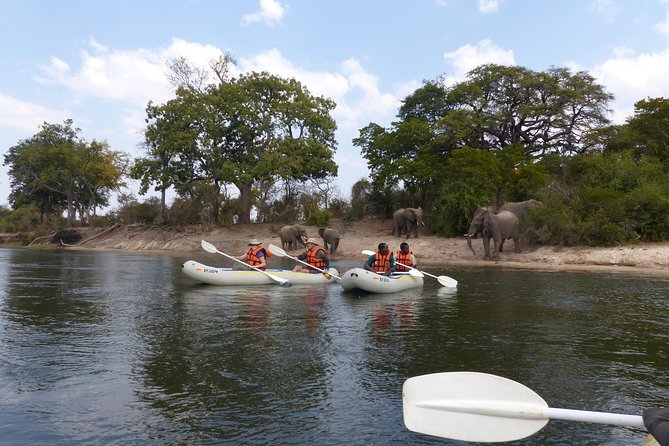 Upper Zambezi Canoeing - Good To Know