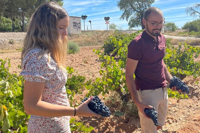 Utiel-Requena Excursion: Uncover the Flavors of Valencias Wine - Good To Know