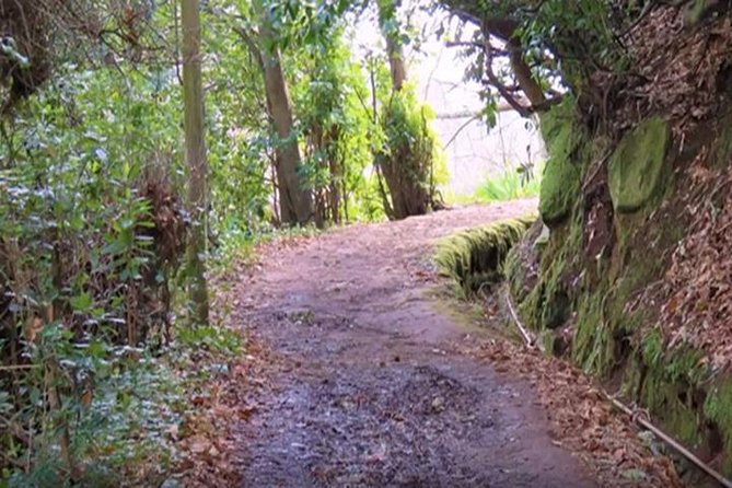 Valley De Paradise Levada Walk - Tour Details