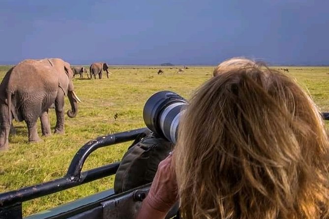 Victoria Falls to Chobe Park Day Tour Plus Boat Ride ! - Good To Know