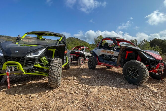 VIP Buggy Tour Off Road at Costa Blanca - Good To Know