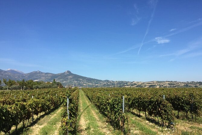 Visit to the Cellar and Tasting 30 Minutes From Pescara Entry - Good To Know