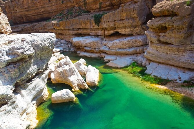 Visit Wadishab Full Day From Musact