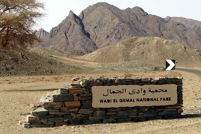 Wadi El Gemal Desert Expedition With Transport - Good To Know