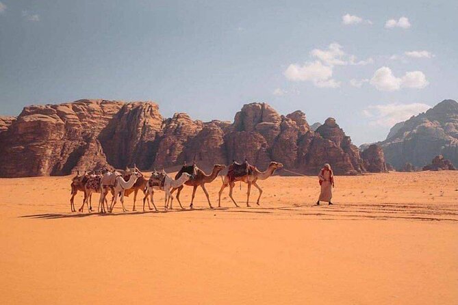 Wadi Rum Half Day From Aqaba Private Tour