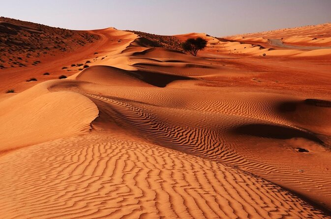 Wahiba Sands and Desert Safari From Muscat - Good To Know
