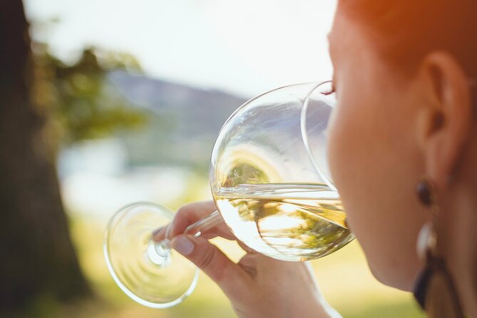 Walk in the Vineyard With Tasting - Good To Know