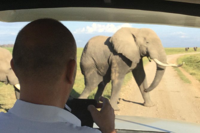 Walk With Elephants in Amboseli. - Good To Know