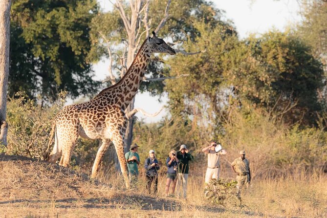 10 Best Walking Tours In Livingstone