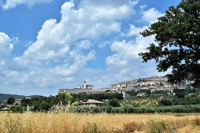Walking Tour of Assisi for One Hour - Tour Overview