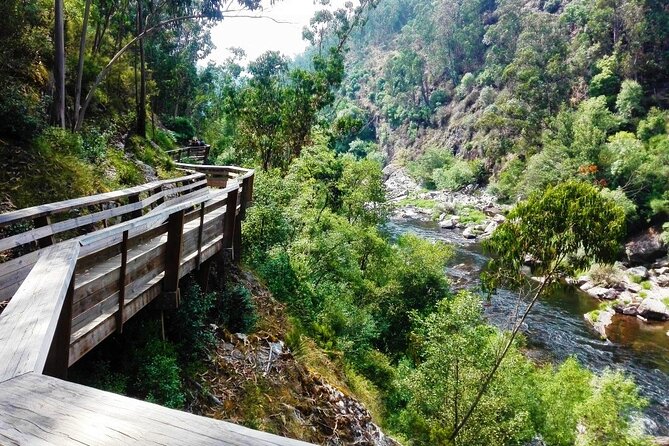 Walkways of the Paiva River and 516 Arouca Bridge Walking - Good To Know